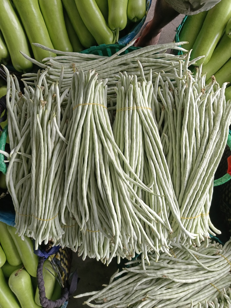 大量白豆角上市