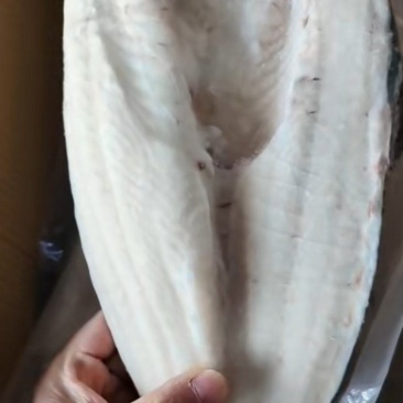 巴沙鱼