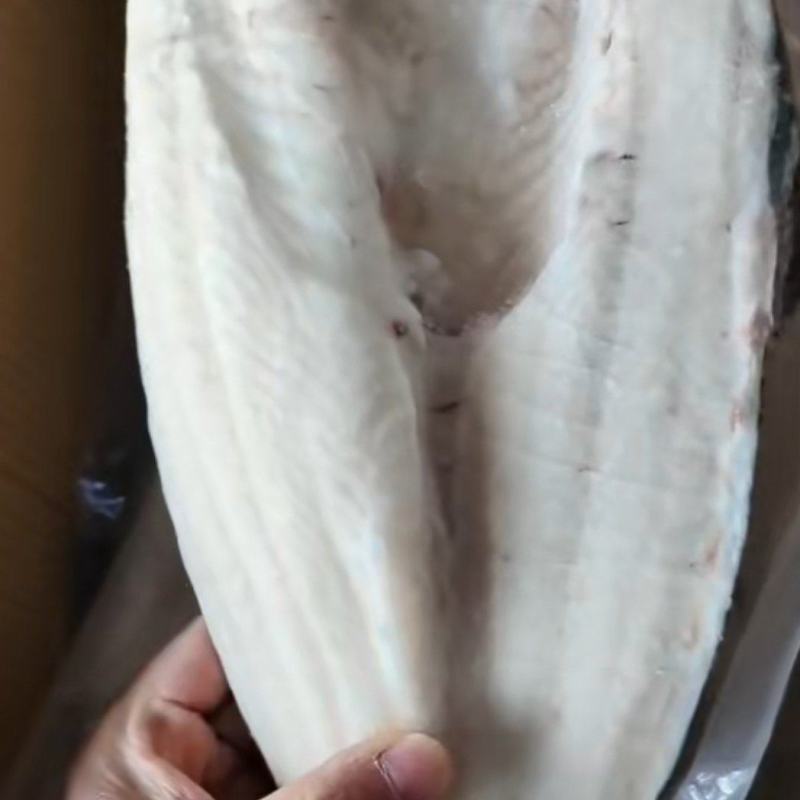 巴沙鱼
