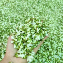 槐花