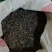 山东菏泽一手货源玄参品质好价格优对接全国市场欢迎采购