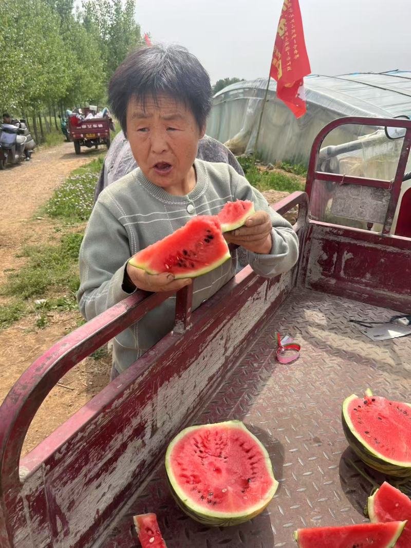 西瓜麒麟西瓜