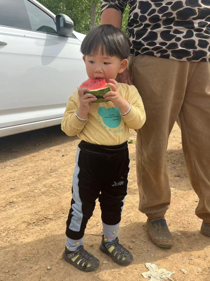 西瓜麒麟西瓜