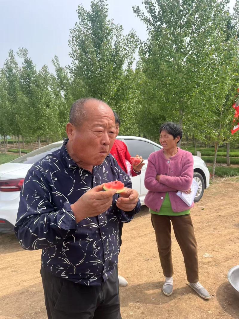 西瓜麒麟西瓜