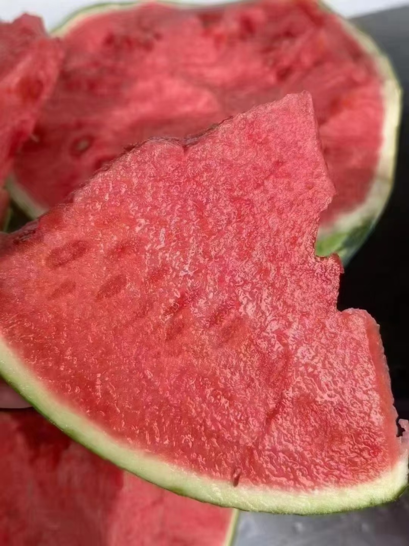 西瓜麒麟西瓜