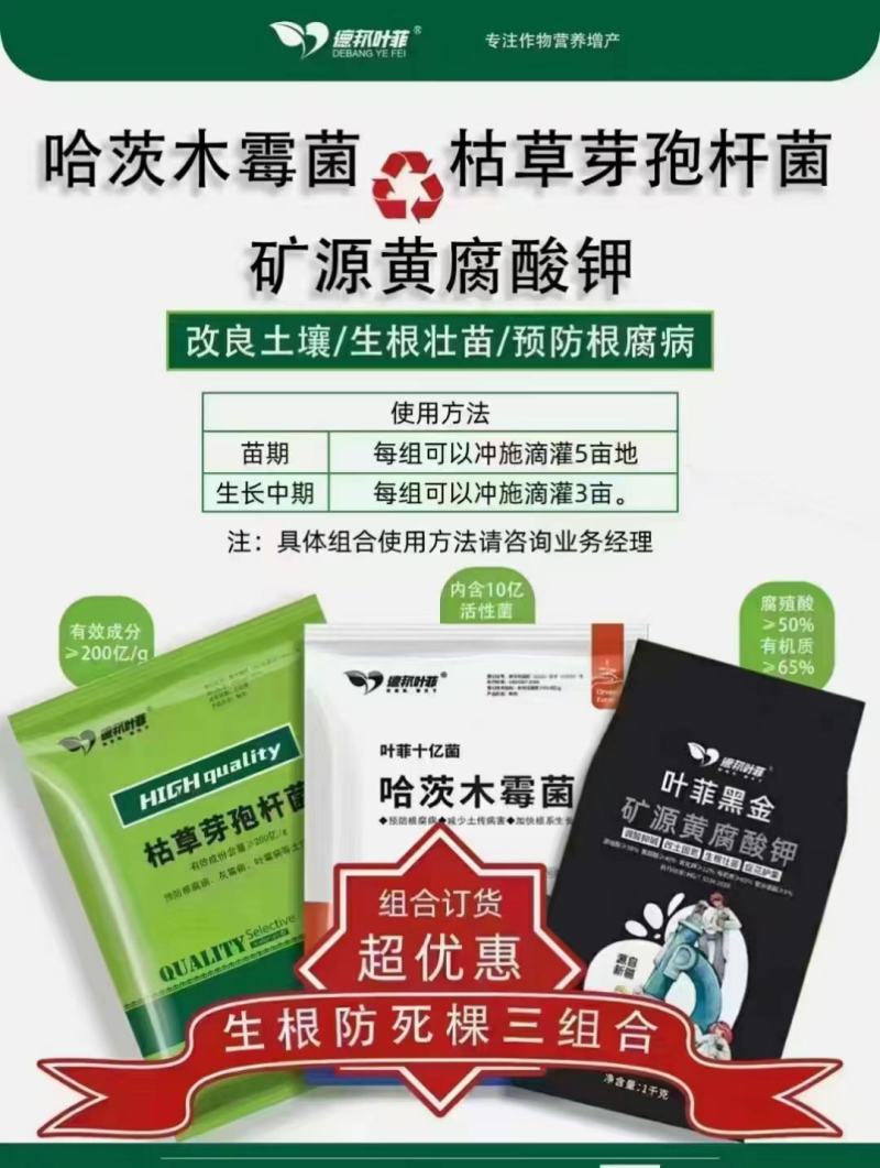 枯草芽孢杆菌对根腐病灰霉病重茬等土传病害效果显著