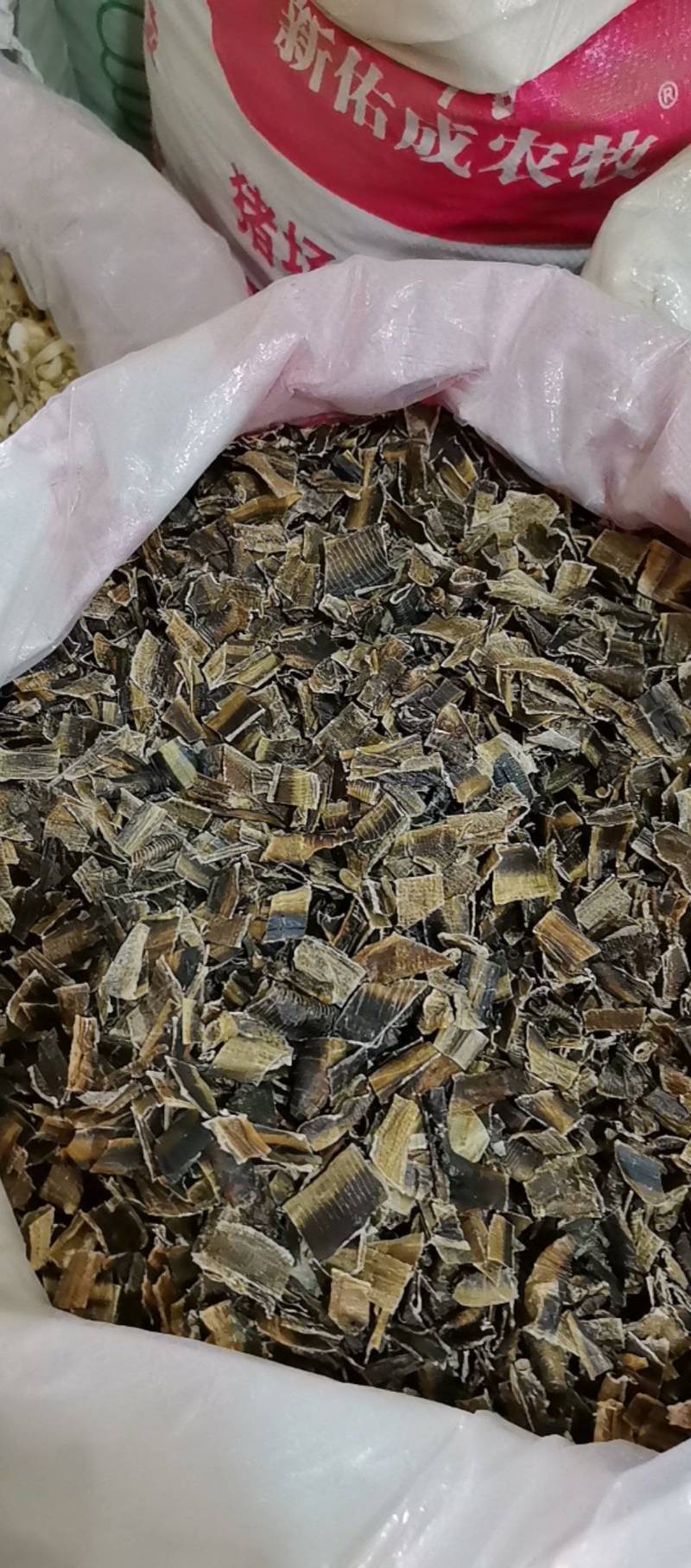 山东菏泽一手货源地龙质量好价格优对接全国市场欢迎购买