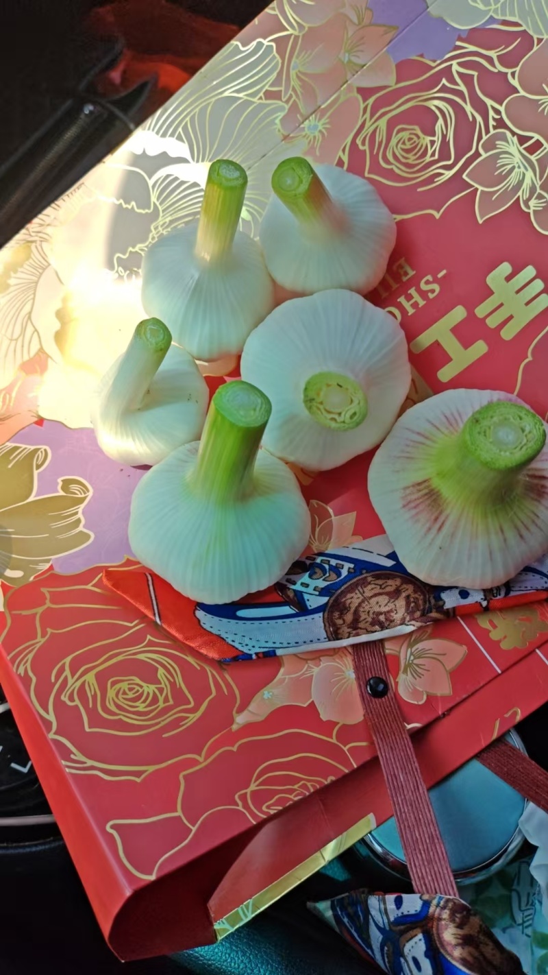 【自家种植品质保障】精品河南大蒜量大从优产地直发