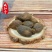 《精品》草果大量有货精选药材品质保证可视频看货
