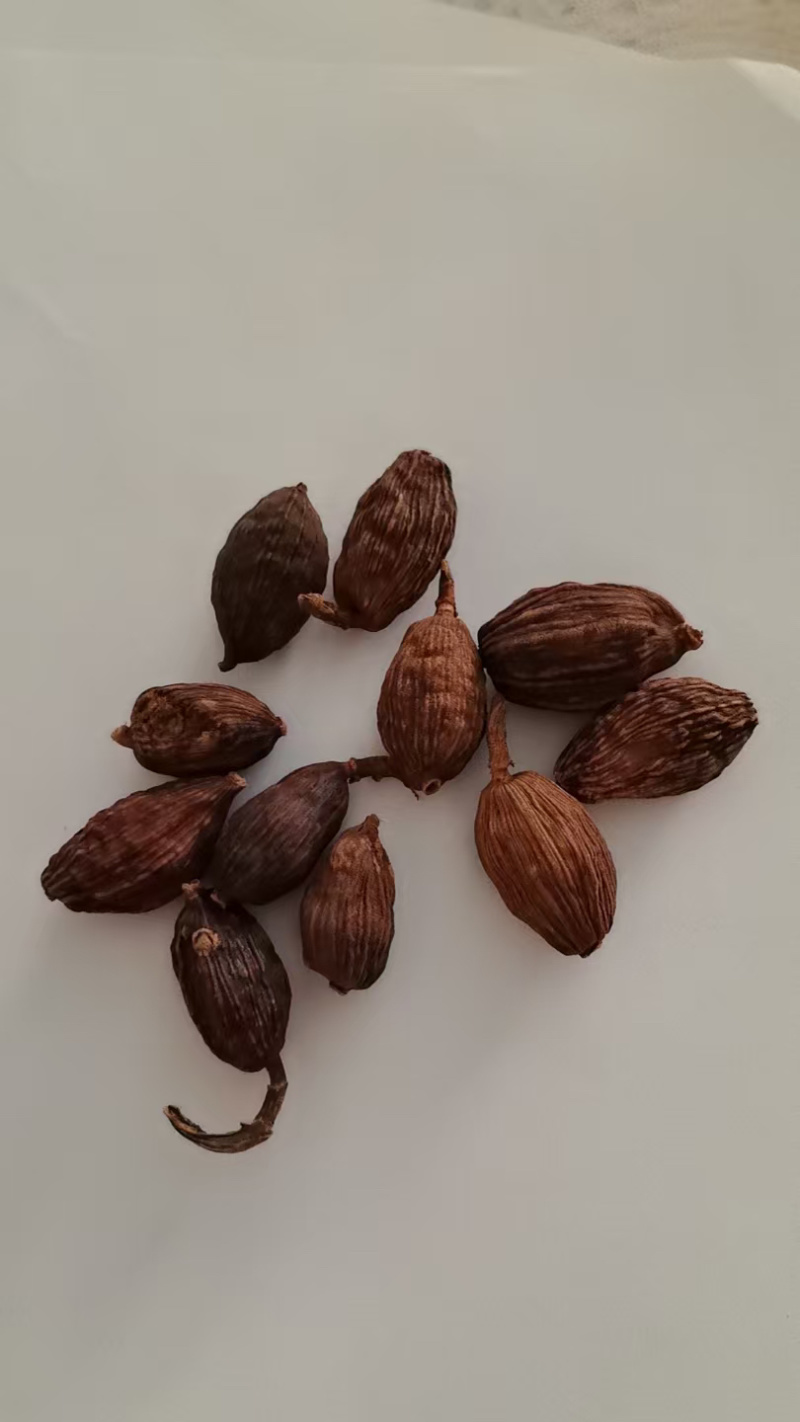 《精品》草果大量有货精选药材品质保证可视频看货
