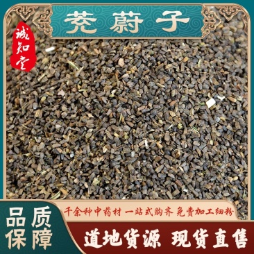 《精品》茺蔚子品质好干净可大量供应欢迎选购