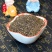 《精品》茺蔚子品质好干净可大量供应欢迎选购