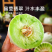 自种精品头茬玉菇甜瓜青皮绿肉可视频看货