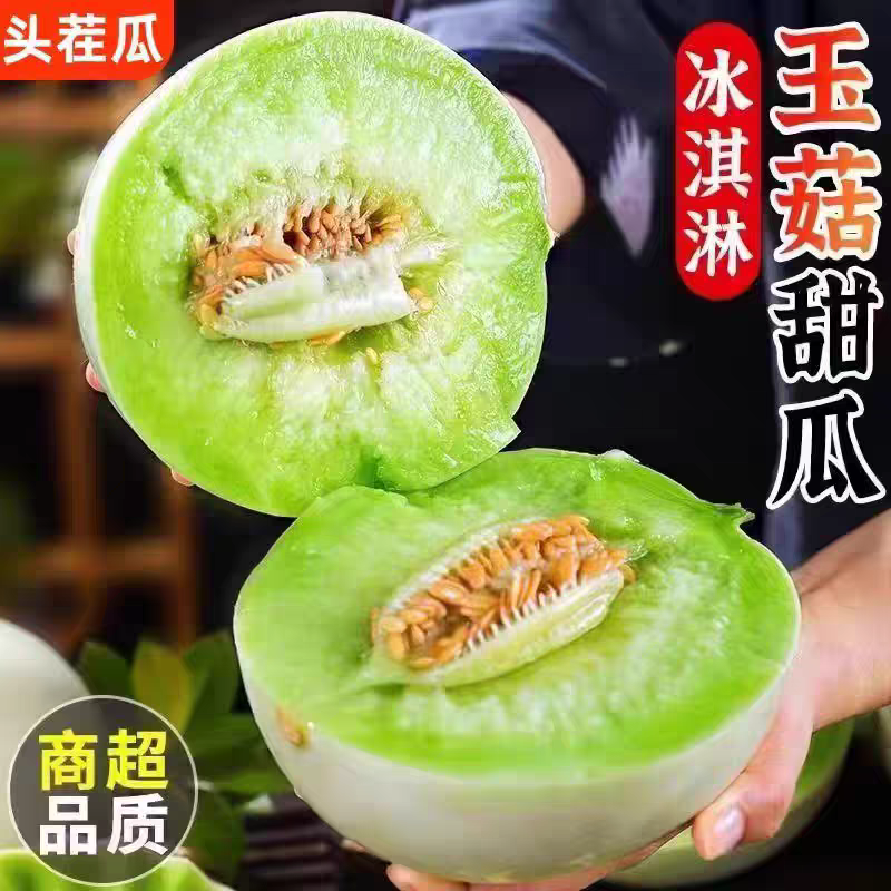 自种精品头茬玉菇甜瓜青皮绿肉可视频看货