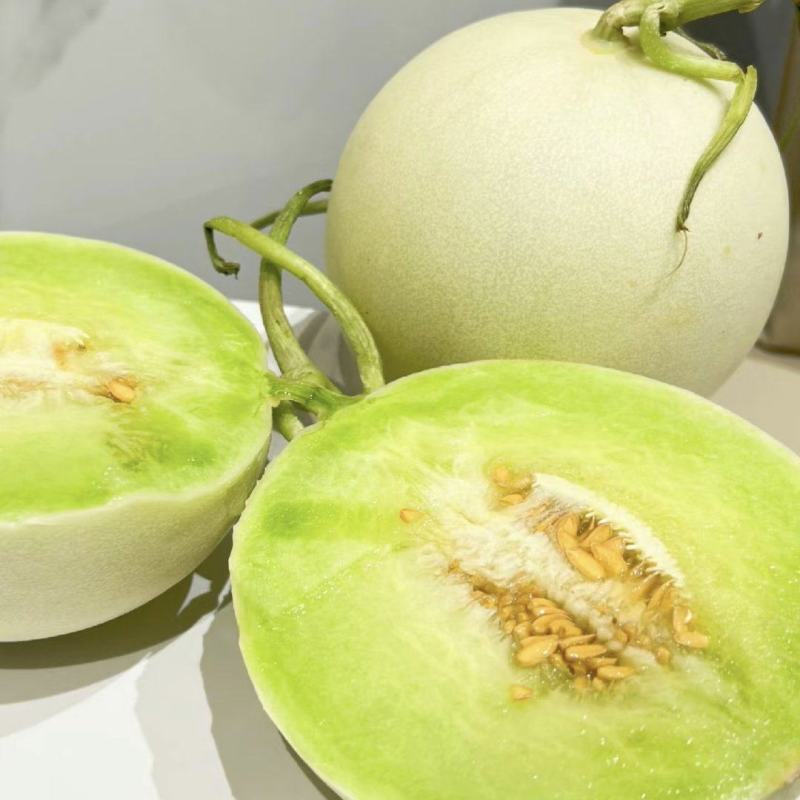 自种精品头茬网红冰淇淋玉菇甜瓜可供各大平台可视频看货
