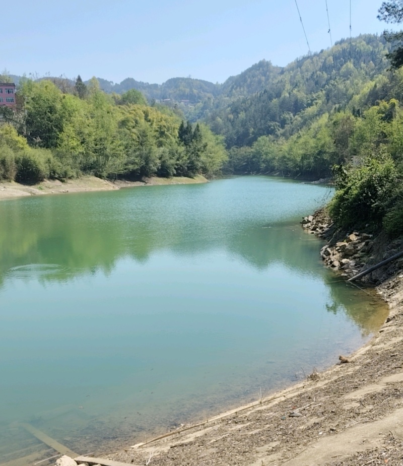 《三星水库》重庆垫江县3000亩水库出租/逐年缴费签合同