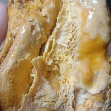 鸡宝