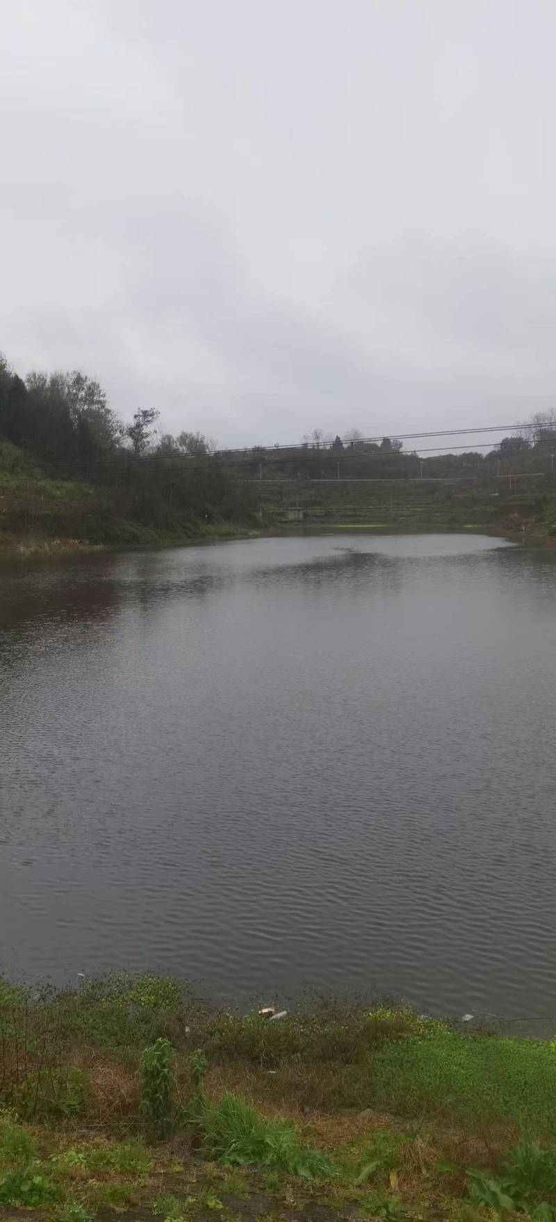 《东汇水库》重庆垫江县3000亩水库出租/逐年缴费签合同