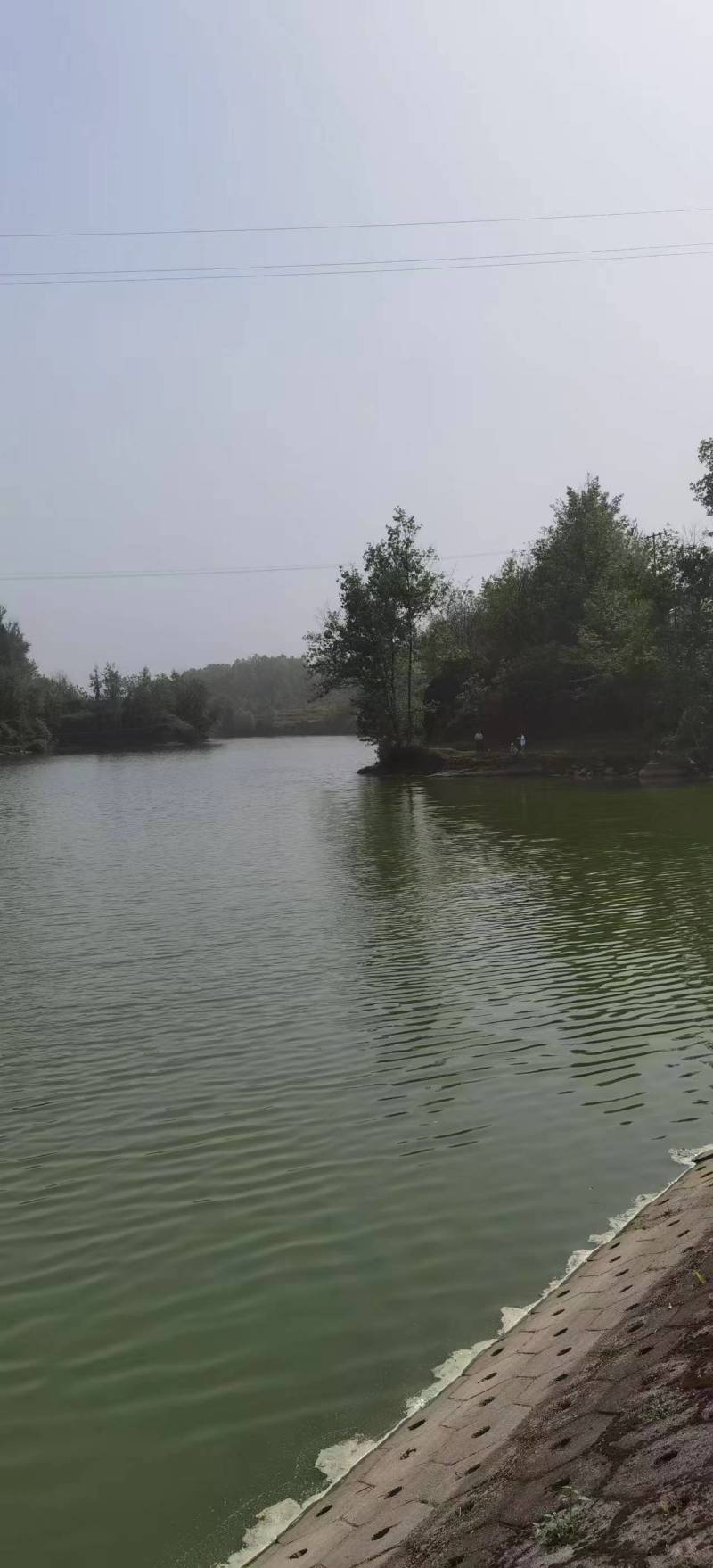 石梯子水库/重庆垫江县3000亩水库出租/逐年缴费签合同