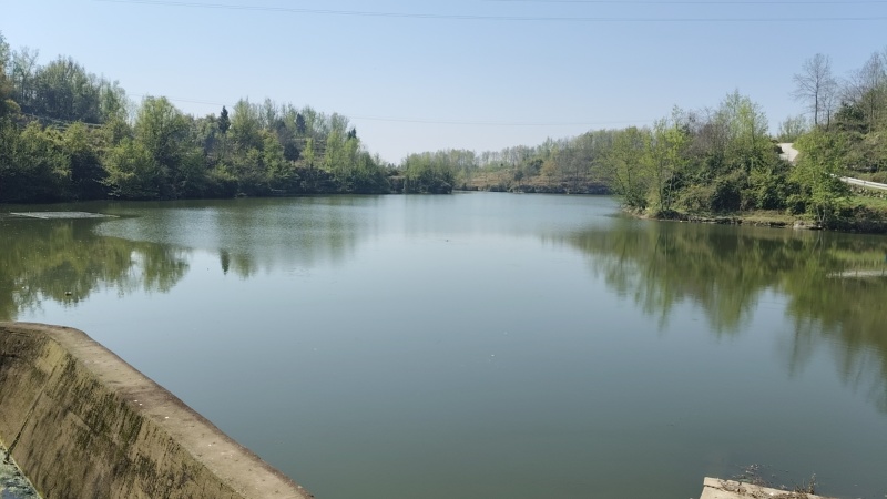 《曙光水库》重庆垫江县3000亩水库出租/逐年缴费签合同