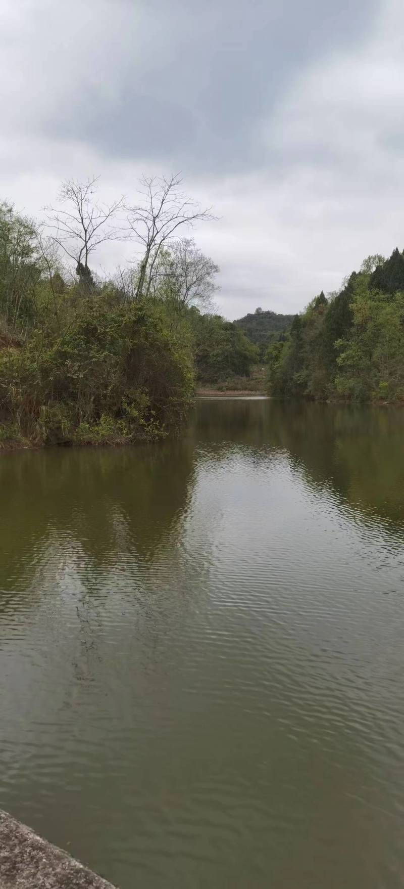 《莲花水库》重庆垫江县3000亩水库出租/逐年缴费签合同