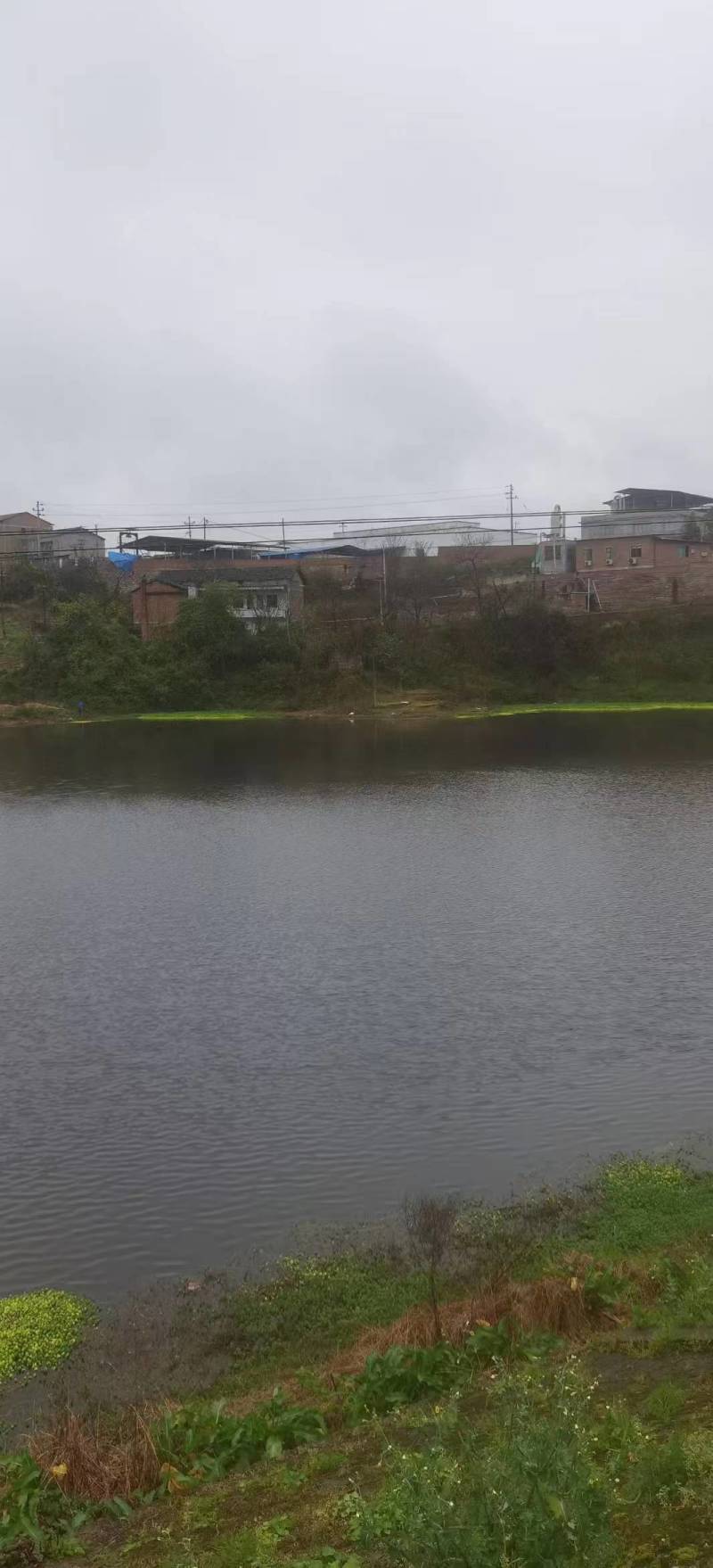 《莲花水库》重庆垫江县3000亩水库出租/逐年缴费签合同