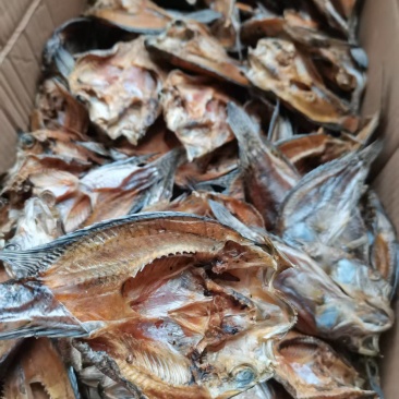 生态水库鱼干/稳定供货/淡斑鱼干/新货上市