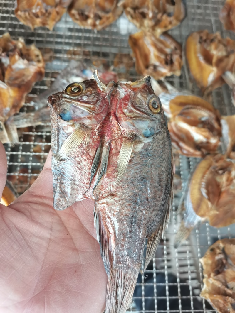 生态水库鱼干/稳定供货/淡斑鱼干/新货上市