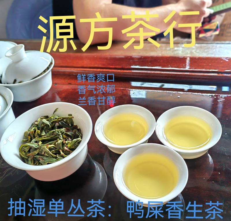 鸭屎香凤凰单丛茶乌龙茶潮州茶凤凰单枞茶抽湿鸭屎香生茶叶
