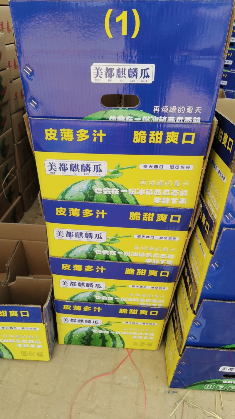 无籽精品美都。薄皮大红瓤甘甜。产地货源充足全国代发。