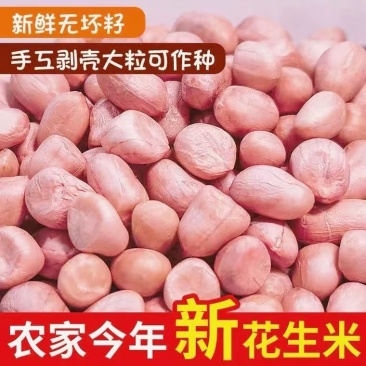 24年花生米小中大规格都有质量保证无霉变无沙无土