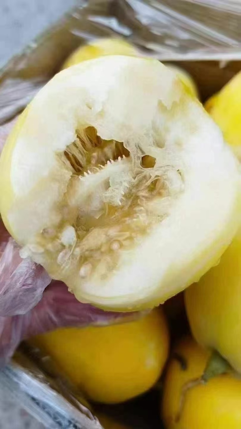 一件代发，甜瓜～小蜜罐，绿宝石～拼多多～抖音～快手对接
