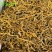 野生玉竹无硫自然风干每件20公斤起批