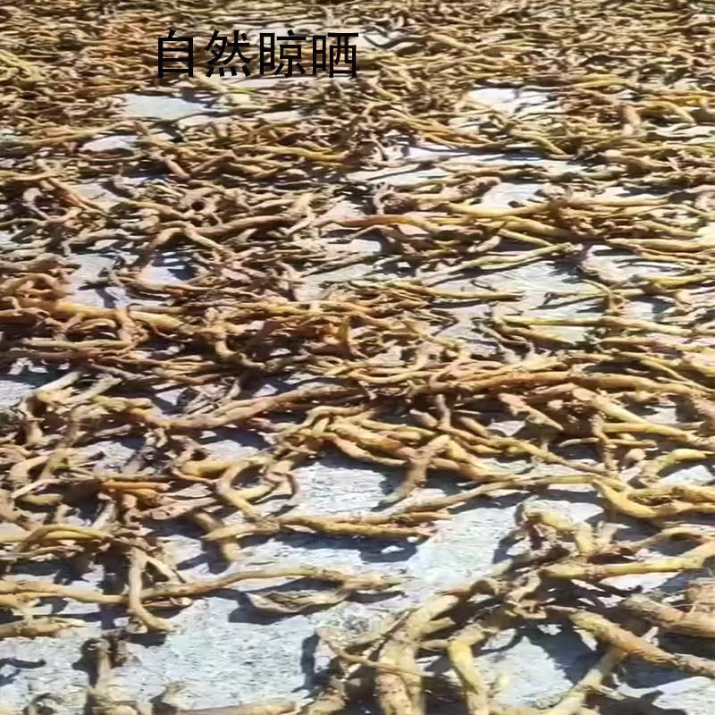 野生玉竹无硫自然风干每件20公斤起批