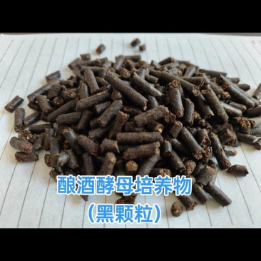 酵母培养物黑颗粒