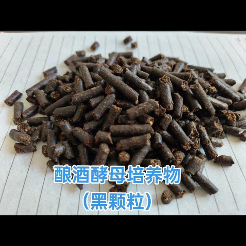 酵母培养物黑颗粒