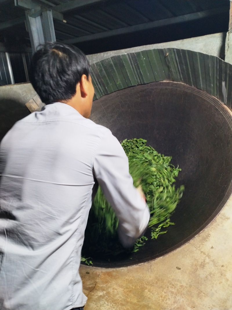 【推荐】云南勐库大雪山古树茶，茶园生态环境好，茶品质好，