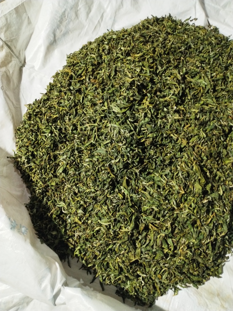 【推荐】云南勐库大雪山古树茶，茶园生态环境好，茶品质好，