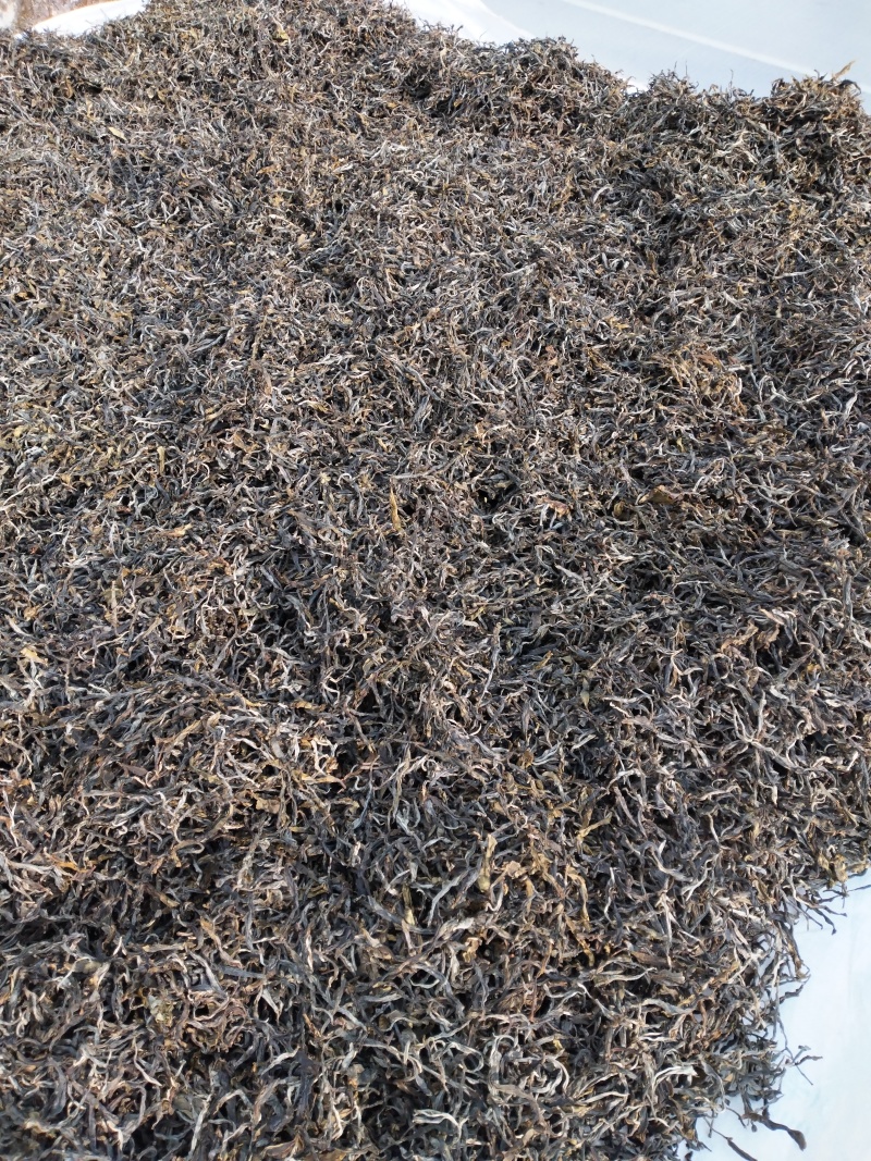 【推荐】云南勐库大雪山古树茶，茶园生态环境好，茶品质好，