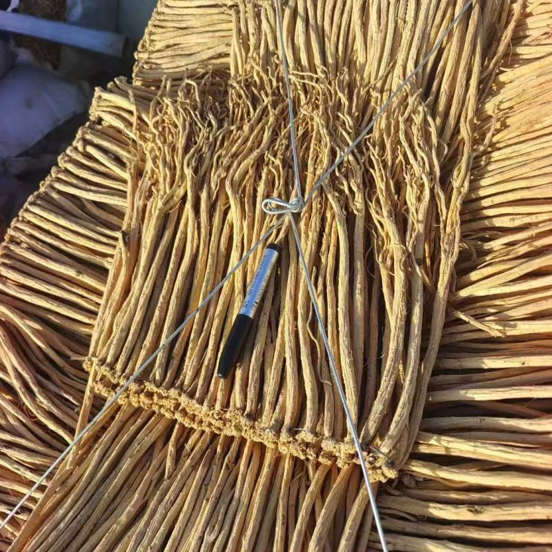 甘肃党参，高山高海拔产物，产地直发欢迎电话联系