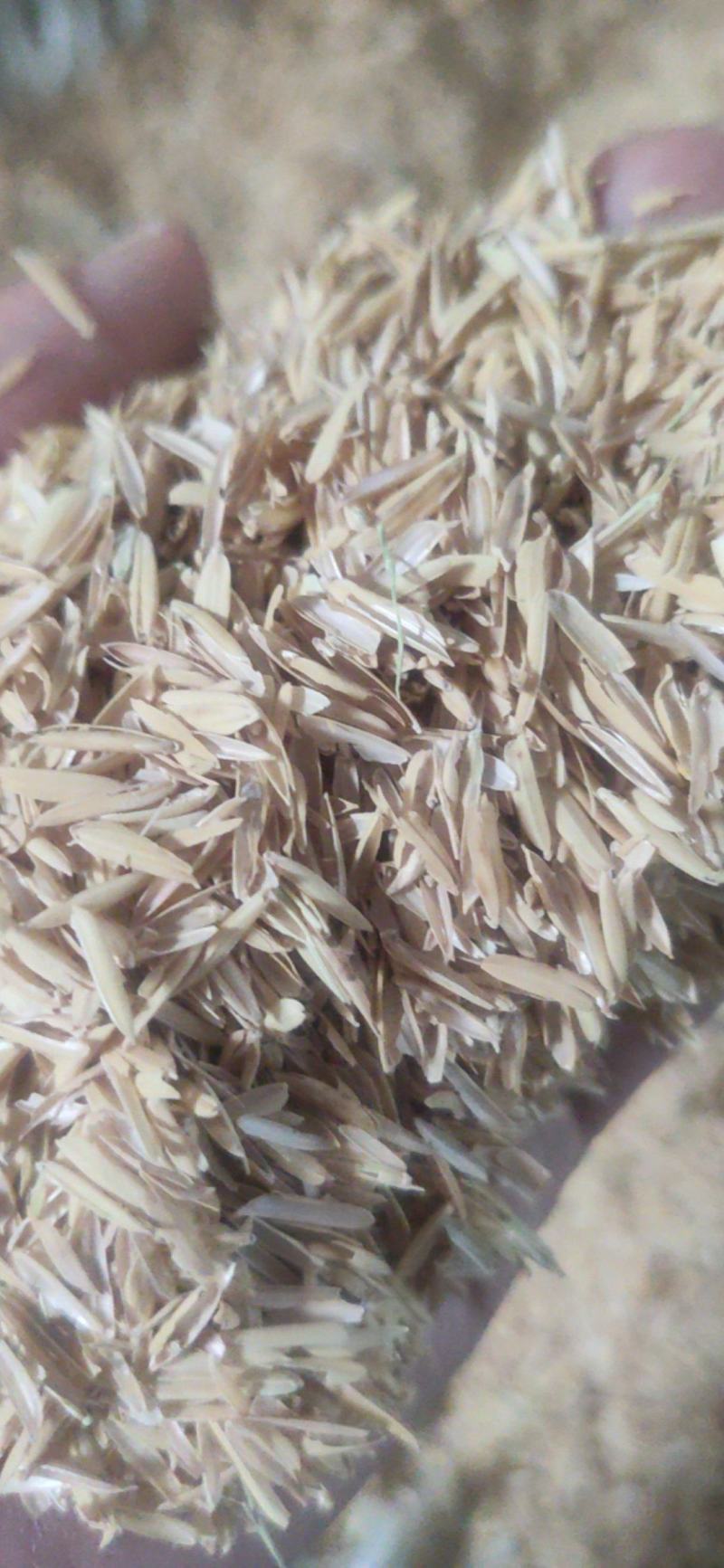 湖北压缩稻壳，量大质量好，长期供应四川重庆，厂家直销