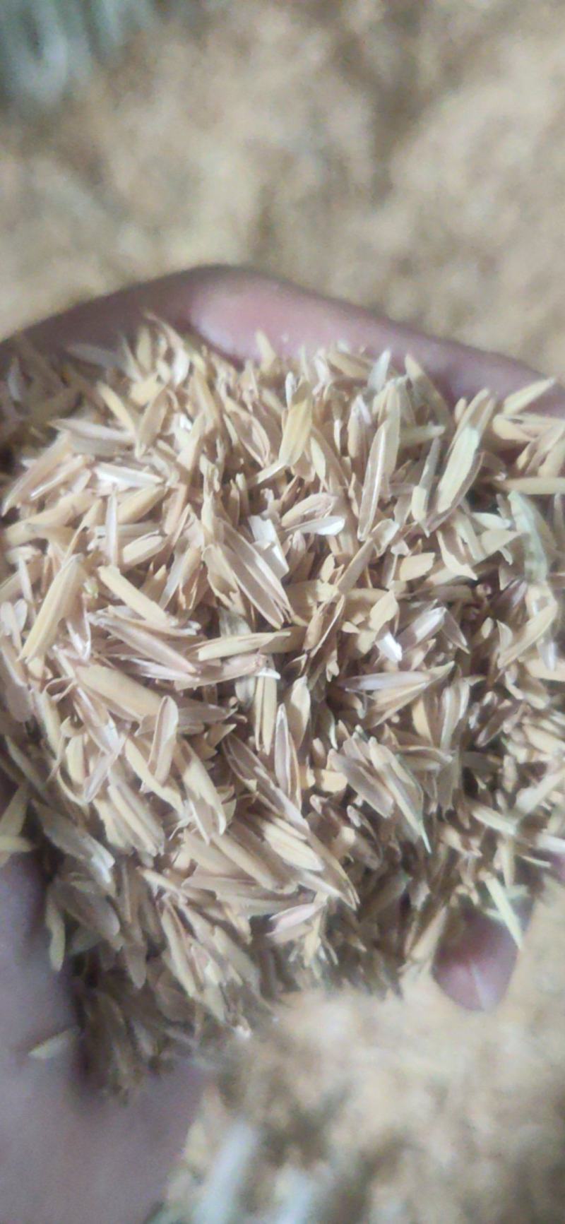 湖北压缩稻壳，量大质量好，长期供应四川重庆，厂家直销