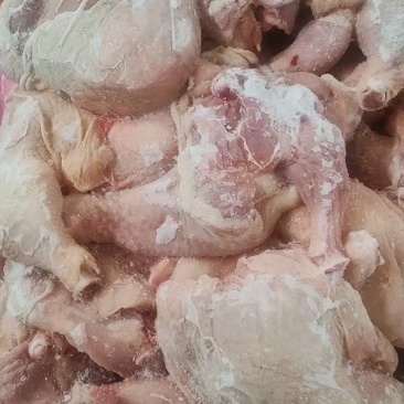 排腿