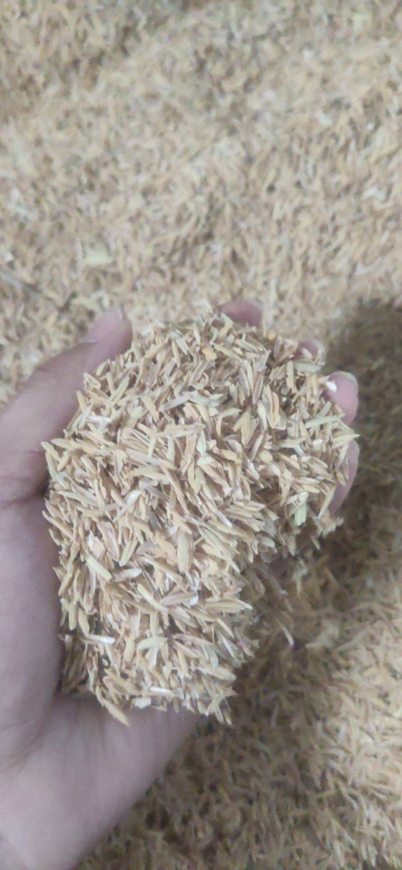 广东广西长期供货，厂家直销，天然干燥，实物拍摄