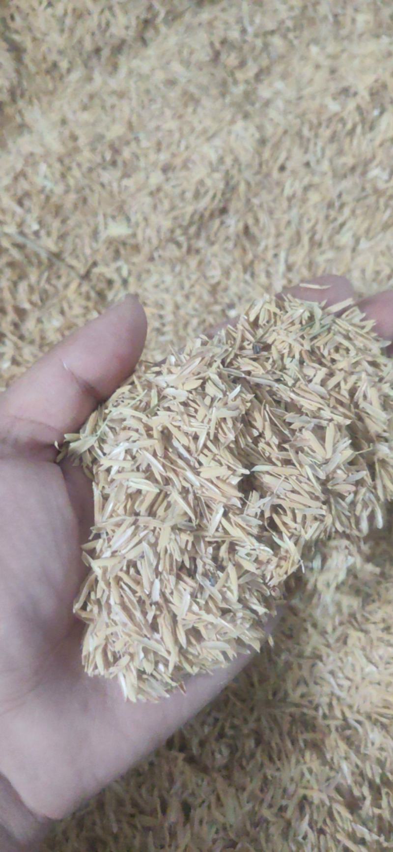 广东广西长期供货，厂家直销，天然干燥，实物拍摄
