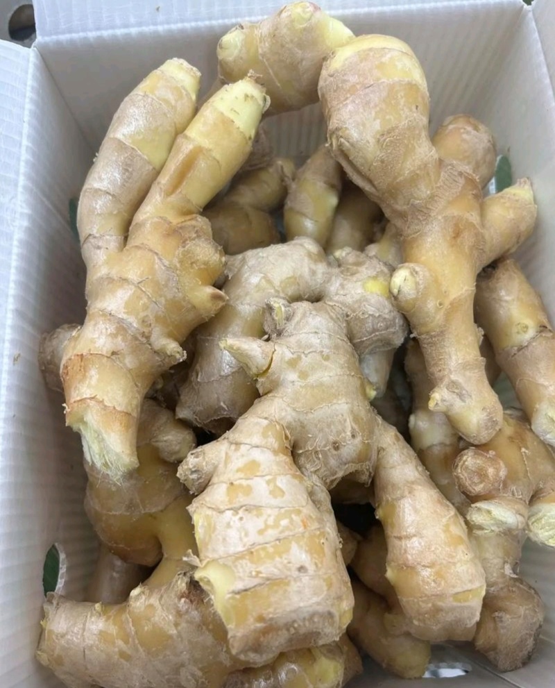 优质大姜，常年供应优质大姜，有意者请留言