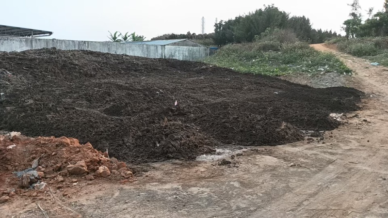 每月100吨果渣滤泥出售