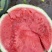 夏邑县无籽西瓜美都麒麟大量上货价格不贵万亩规模