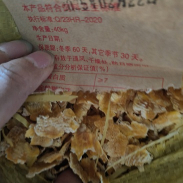玉米压片