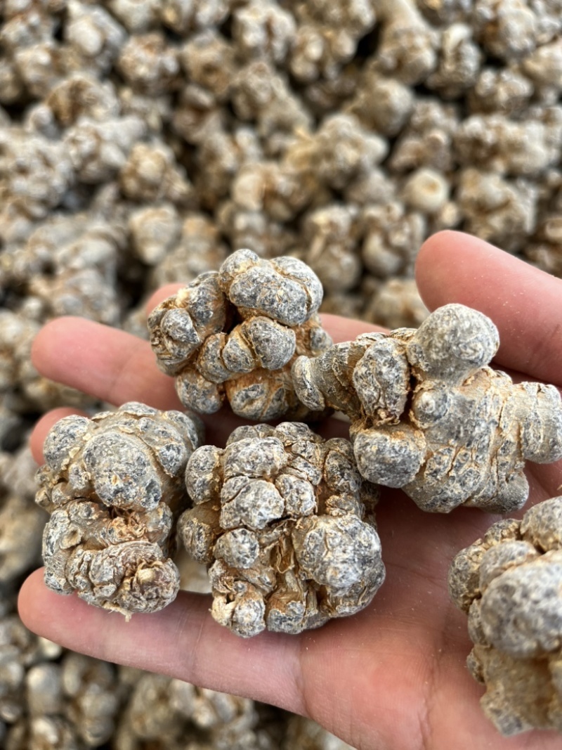 18头带帽三七，云南文山产地三年生18头水洗带帽七